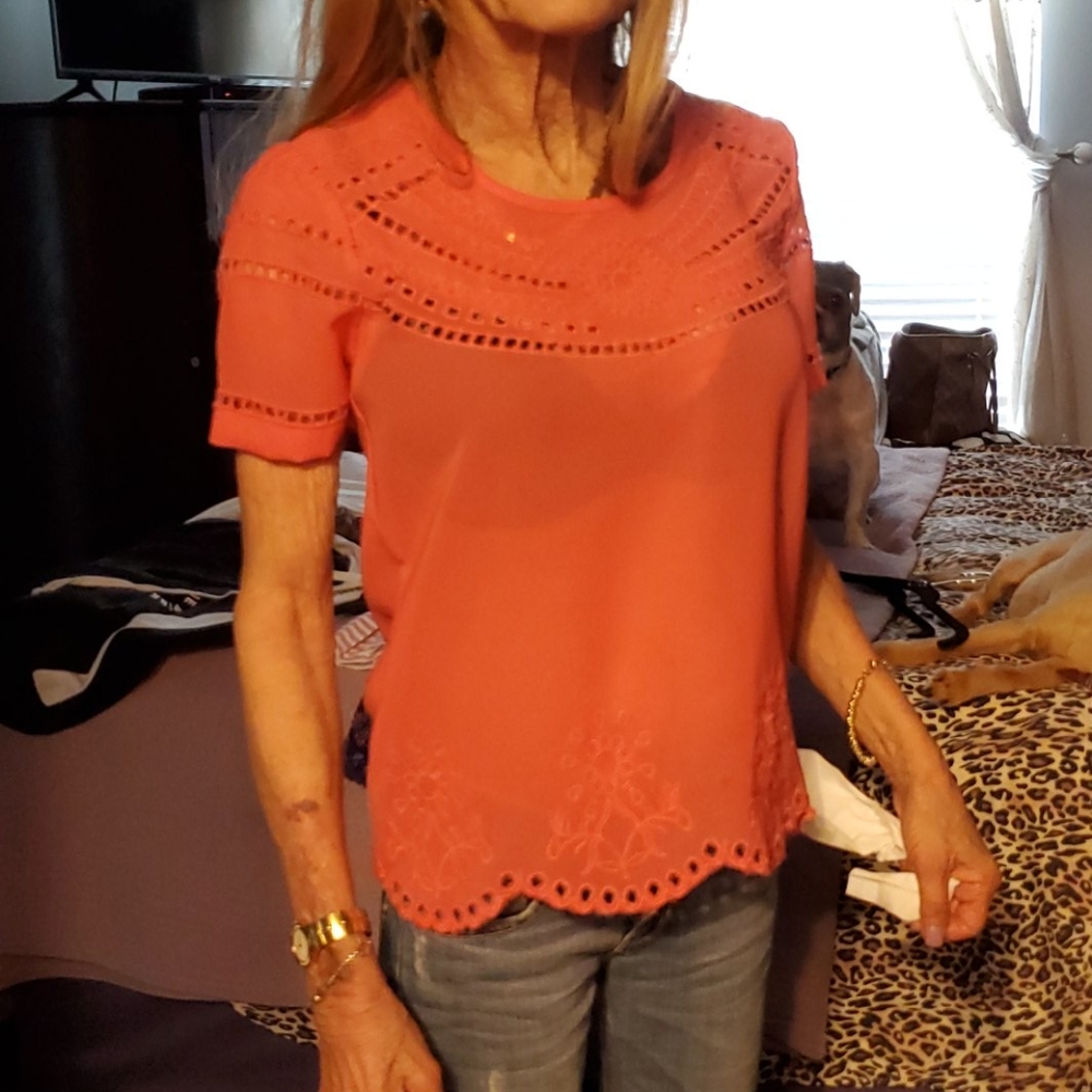 Shrinking Violet coral top